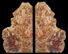 Tall, Colorful, Arizona Petrified Wood Bookends #65961-1